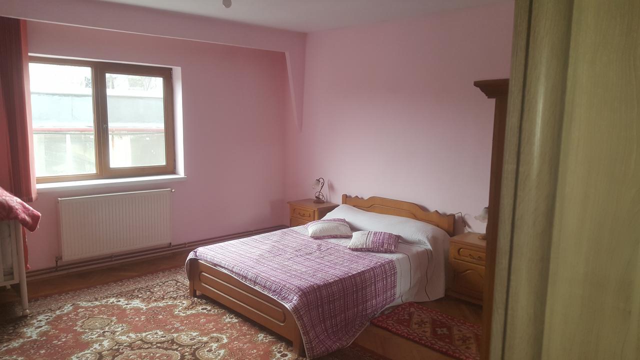 Casa Mirela 호텔 투르다 외부 사진