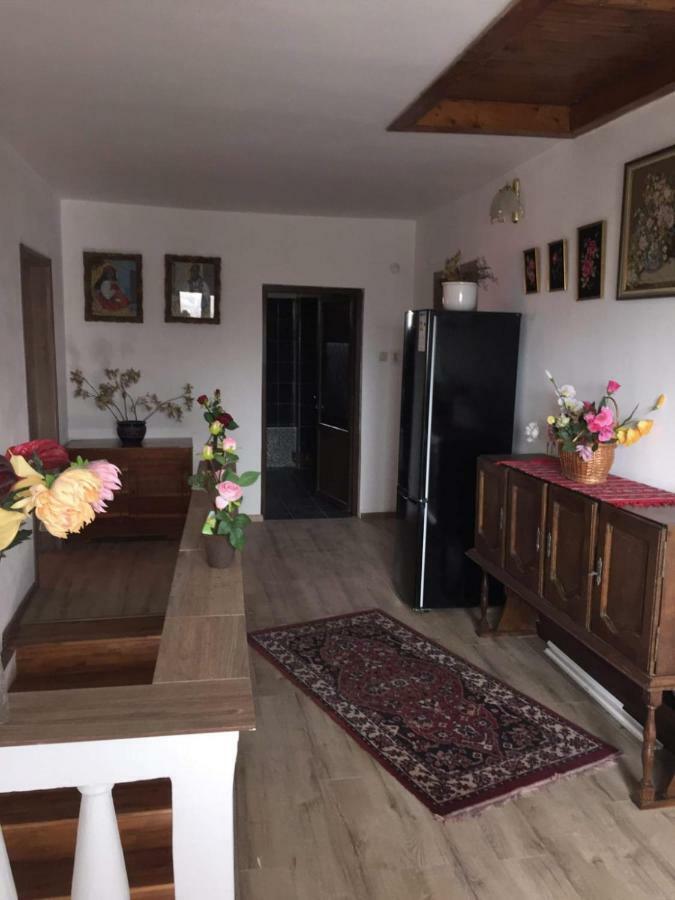 Casa Mirela 호텔 투르다 외부 사진