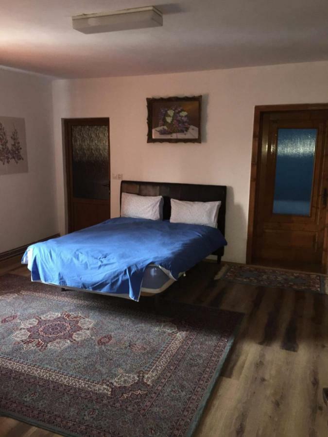 Casa Mirela 호텔 투르다 외부 사진